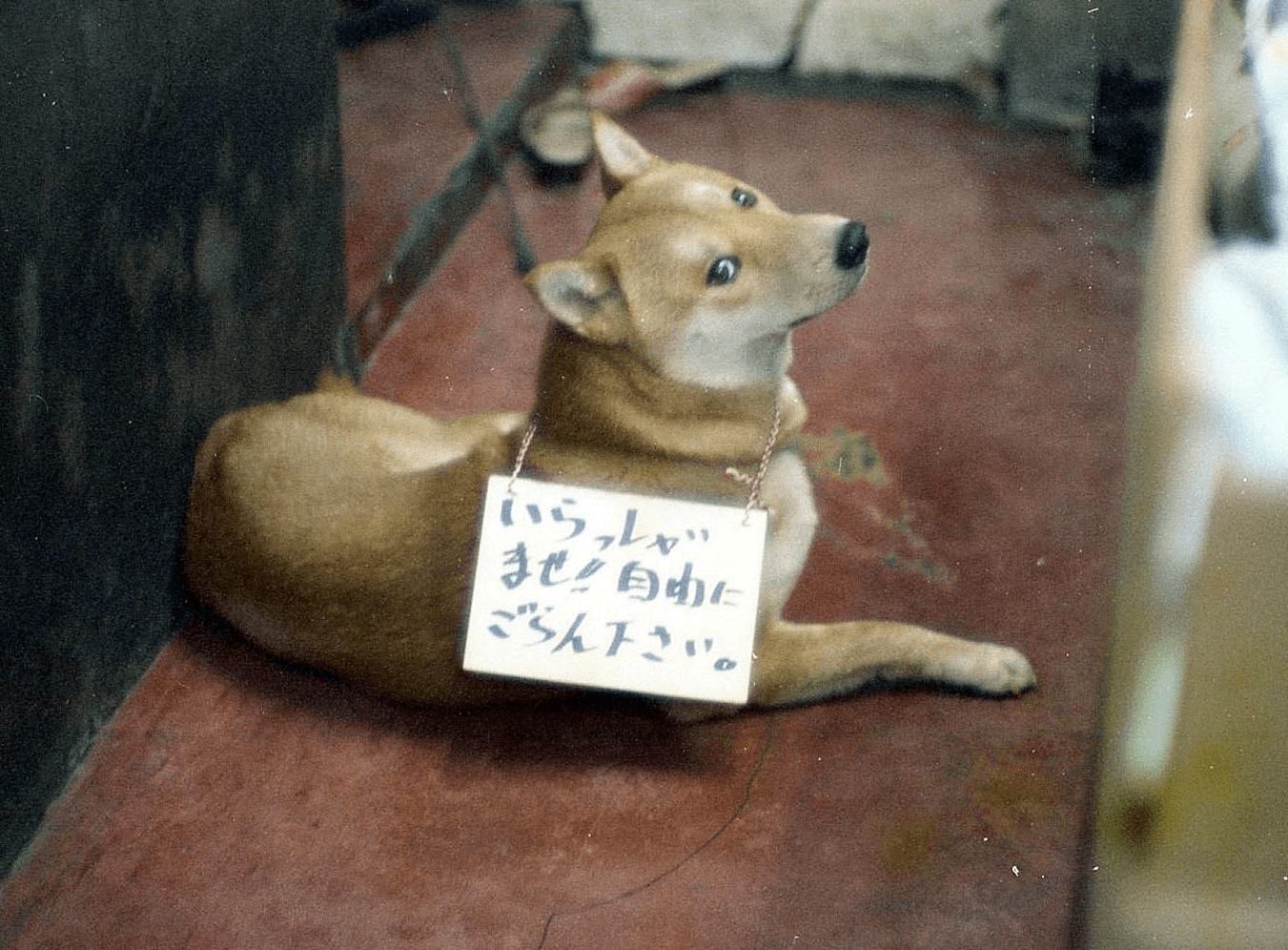 第二十二回 迷犬チャッピー | 早田カメラ史 『懐かしの１枚 